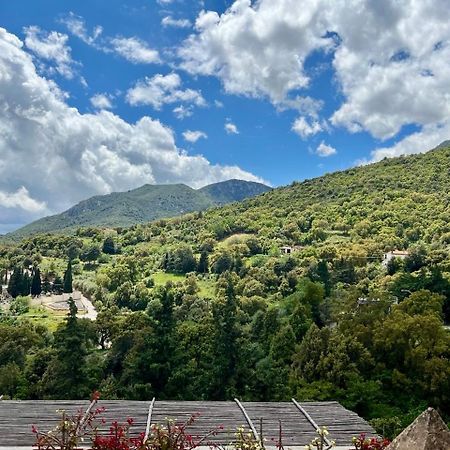 B&B Su Biancu - Sardinian Experience Urzulei Екстериор снимка