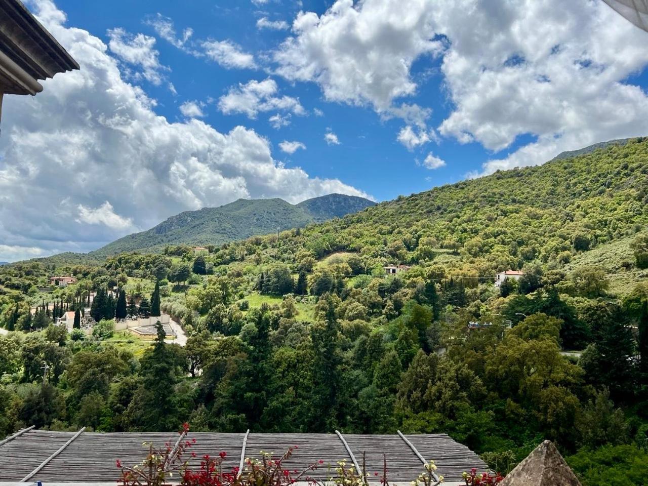 B&B Su Biancu - Sardinian Experience Urzulei Екстериор снимка